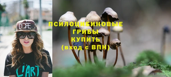 меф Гусь-Хрустальный