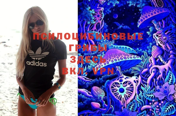 синтетический гашиш Гусиноозёрск