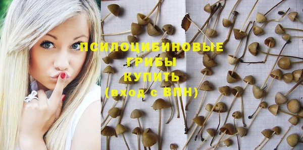 гидропоника Гусев